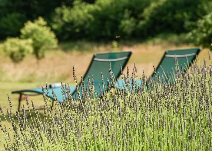 Dom wakacyjny Maison Des Yourtes Loubejac