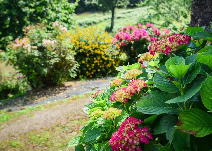 Maison Des Yourtes Dom wakacyjny Loubejac