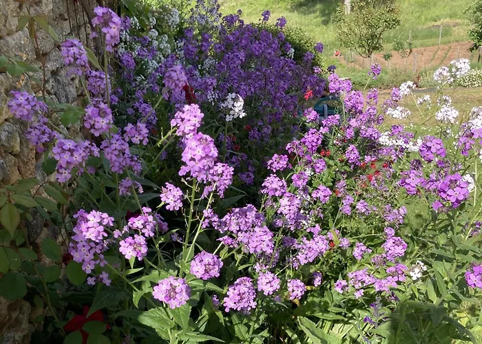 Maison Des Yourtes Dom wakacyjny *